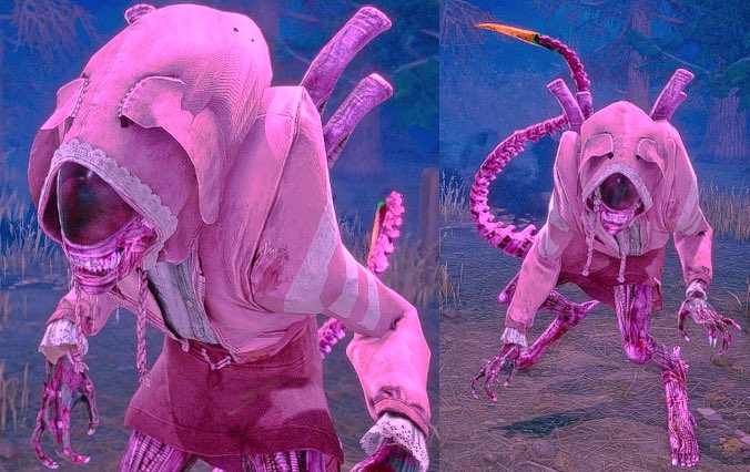 the transgender operations on illegal aliens: