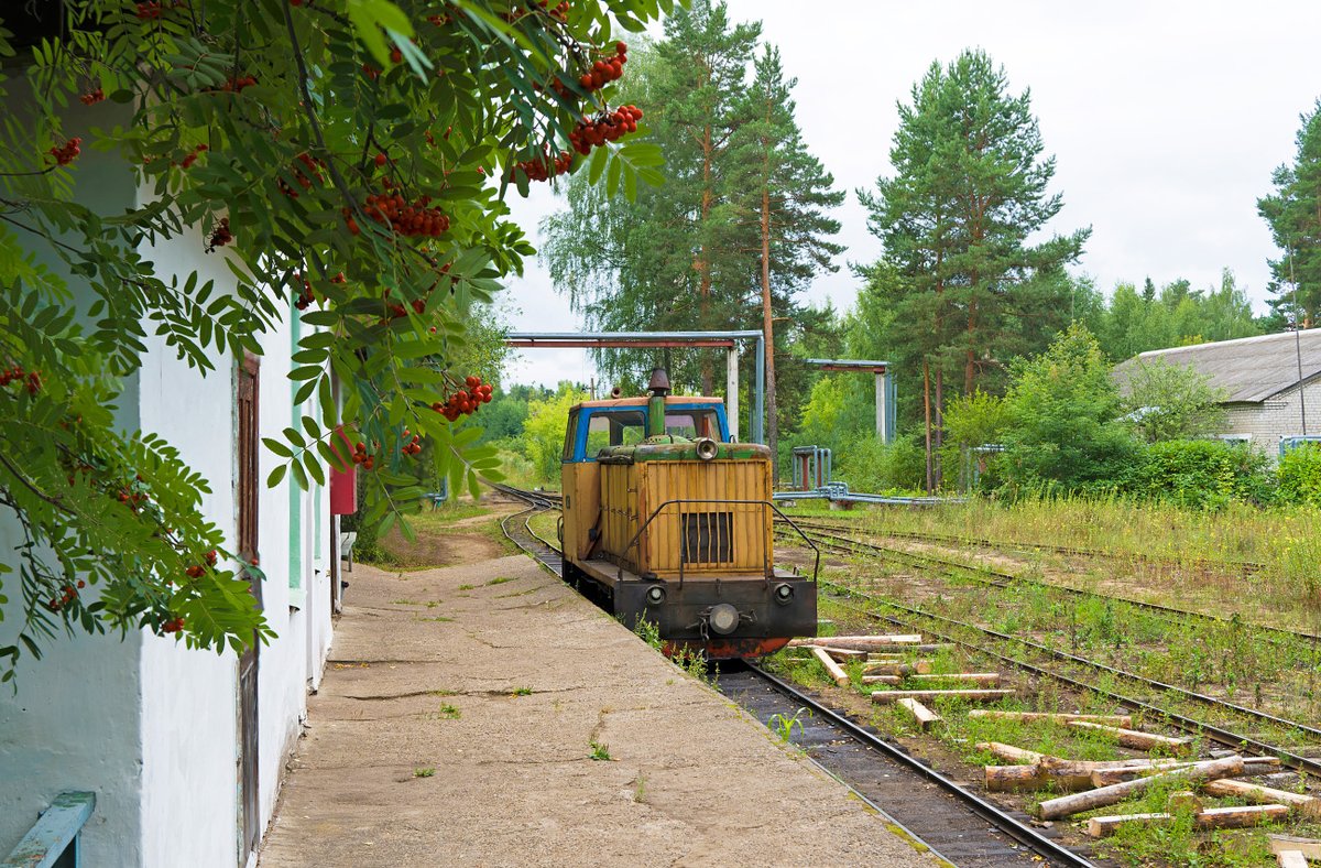 NGR_RU's tweet photo. Тепловоз ТУ6А-2172 на станции Центральный Посёлок, УЖД Пищальского ТПР, Кировская область, 17.08.2024. Diesel locomotive TU6A-2172 at the Tsentral'nyy Poselok station, Pishchalskoye peat narrow-gauge railway in Kirov Oblast, 17.08.2024. Photo: Aleksey Kalinin #Russia #ужд #TU6A https://t.co/Ee4VfB1Mms
