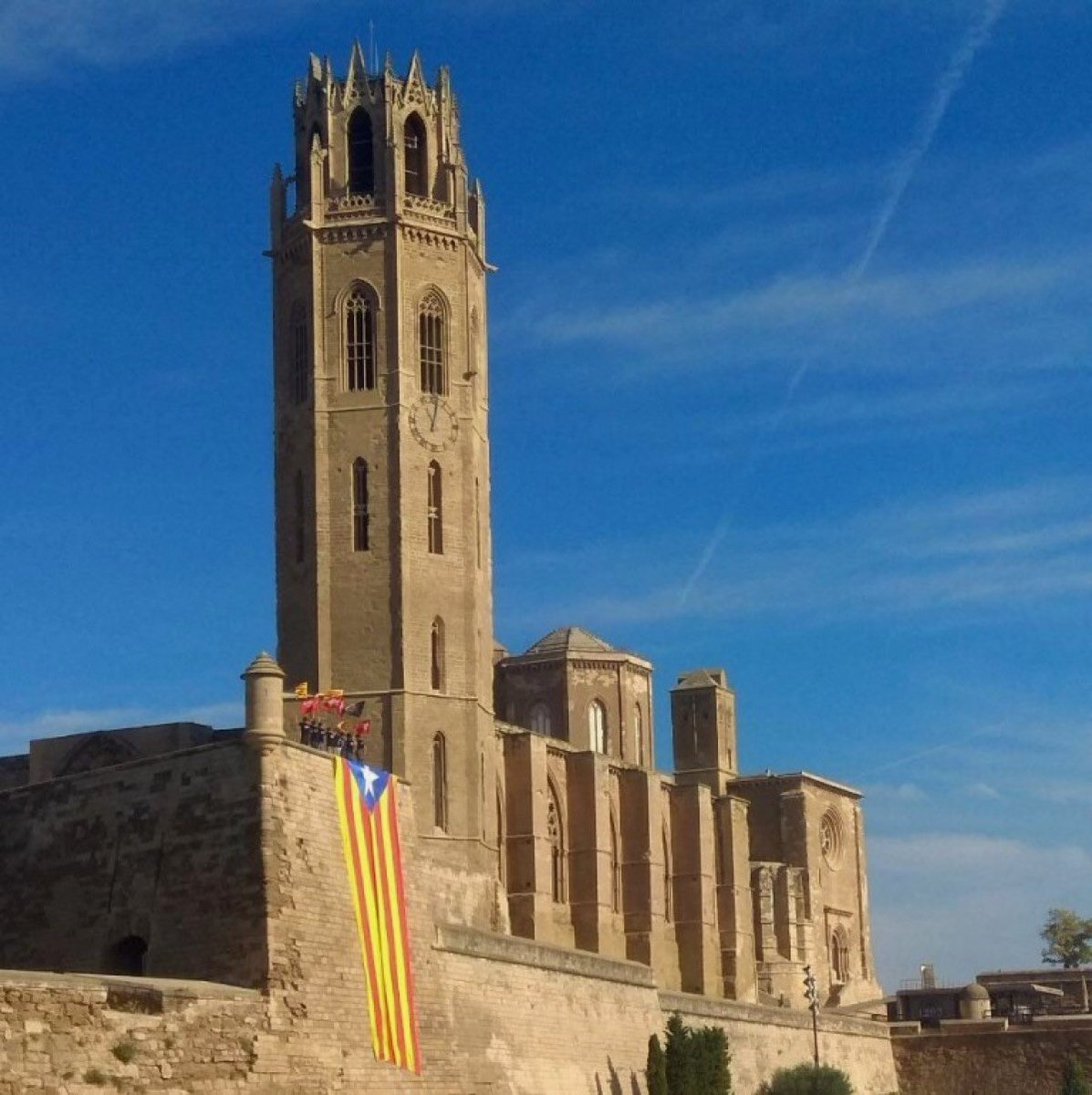 velasc_alberto's tweet photo. Bona diada i visca Catalunya lliure! https://t.co/we3oZBeEMK