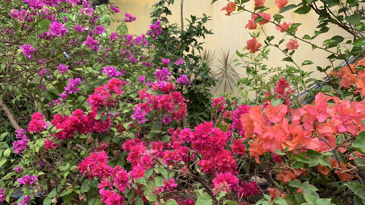 sabilbahar's tweet image. hometown