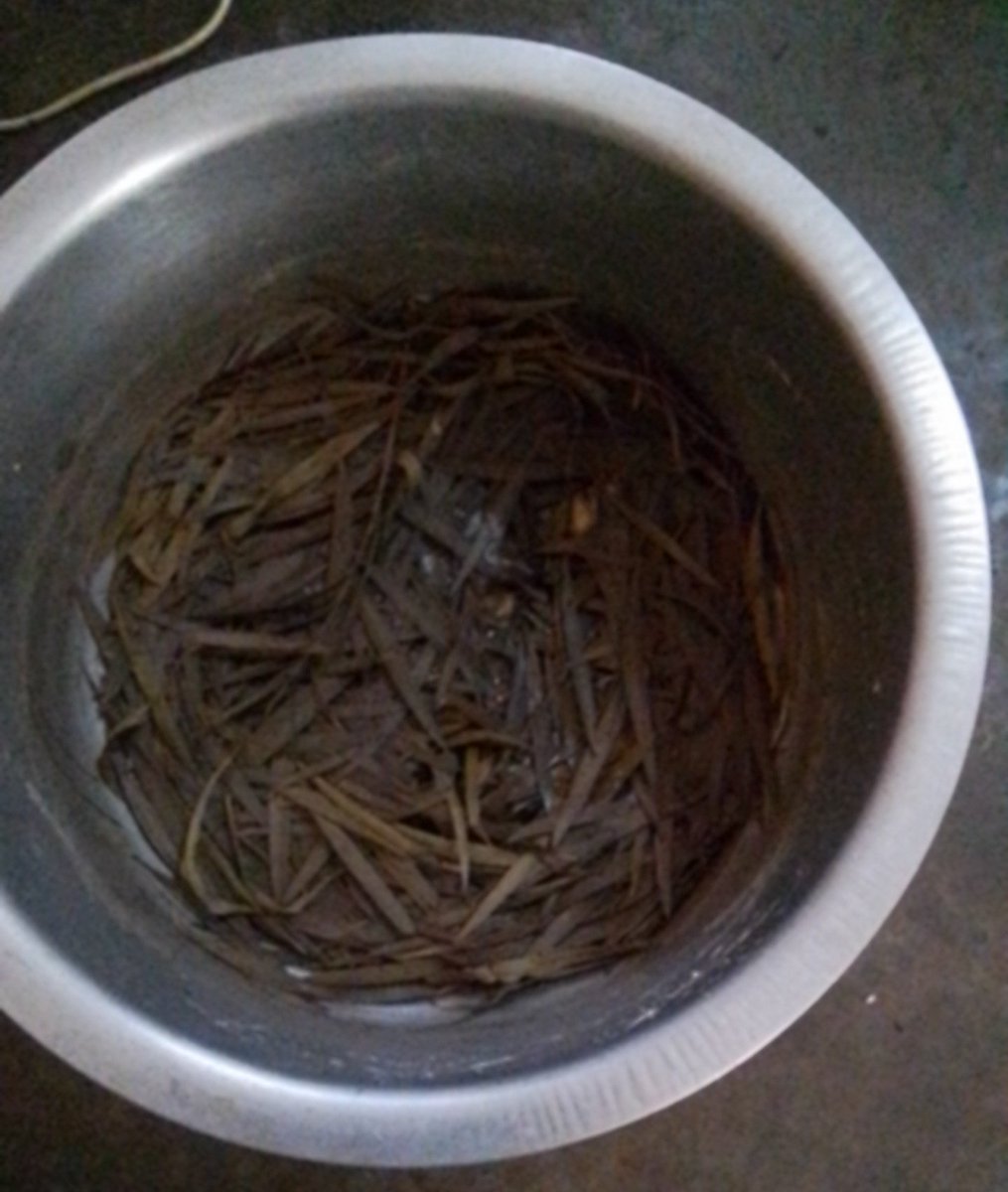 pastajoshuatz's tweet photo. Kama unasumbuliwa na vidonda ya tumbo sugu,kujaa gesi,magonjwa ya zinaa sugu na mengineyo suluhisho ni mti huu.

Mimi nimeumwa vidonda vya tumbo kwa muda mrefu,kilicho niponya ni mti huu sijahadithiwa mimi ndie shuhuda namba moja. https://t.co/JRcT5HMMq9