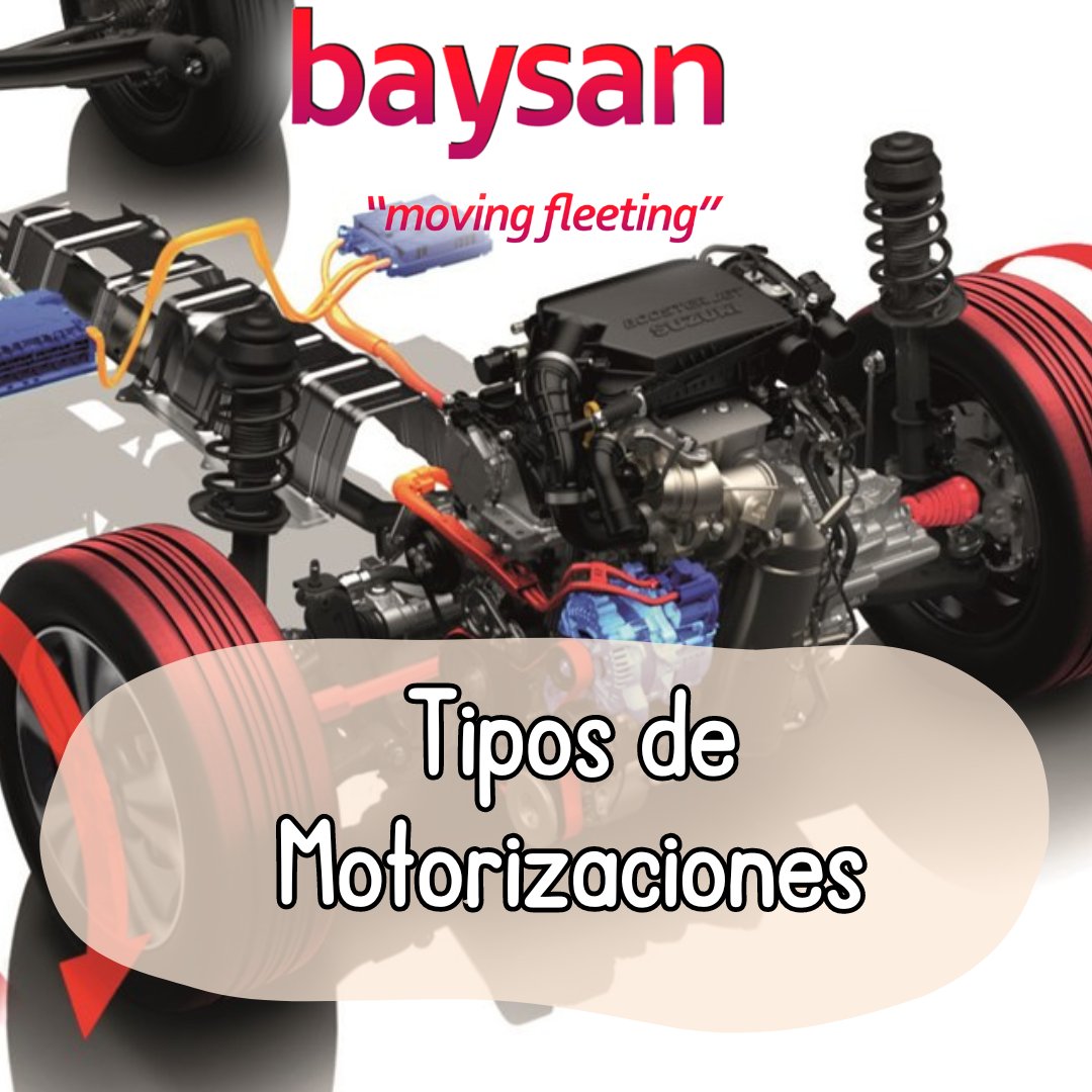 Grupo Baysan tweet media