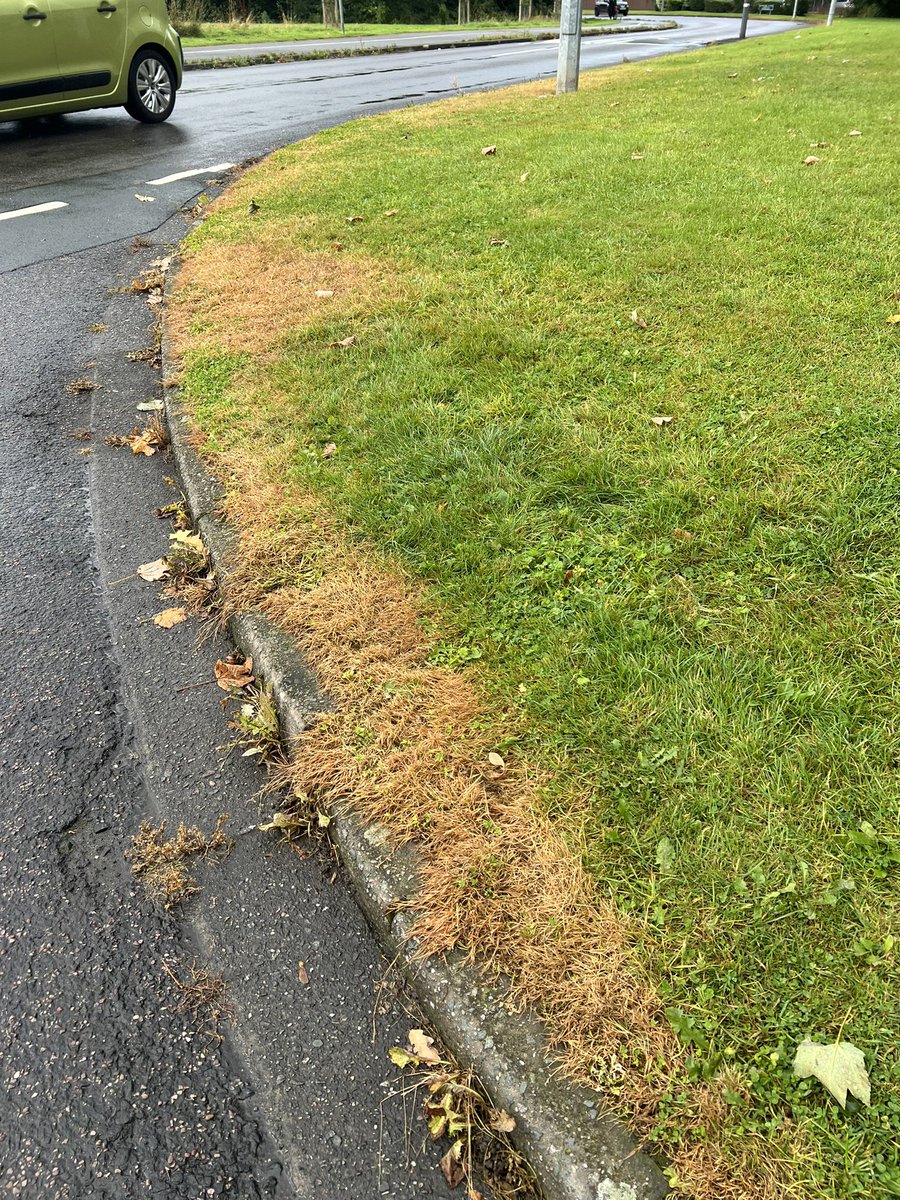 brad harrison tweet media