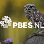 Photo by Platform for Biodiversity & Ecosystem Services NL (@pbesnl)