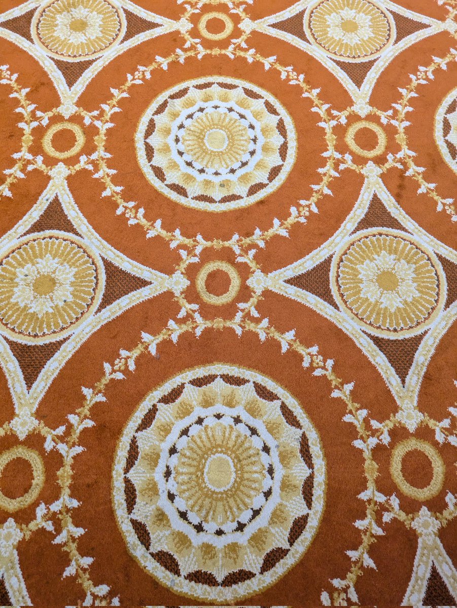 Miss Ryan tweet media