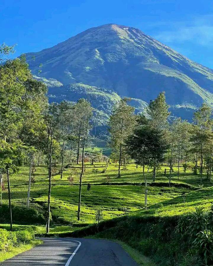 Kang Mas Boy tweet media