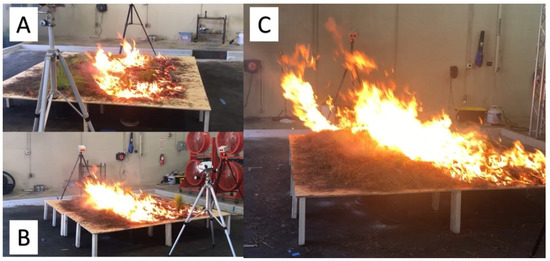 Fire_MDPI's tweet photo. #mdpifire
🔥Longleaf Pine Seedlings Are Extremely Resilient to the Combined Effects of Experimental Fire and Drought
➡️https://t.co/NVhPRExfoF
#grassstage; #Pinuspalustris; #prescribedfire; #recovery; #transpiration https://t.co/J10sldr2wT