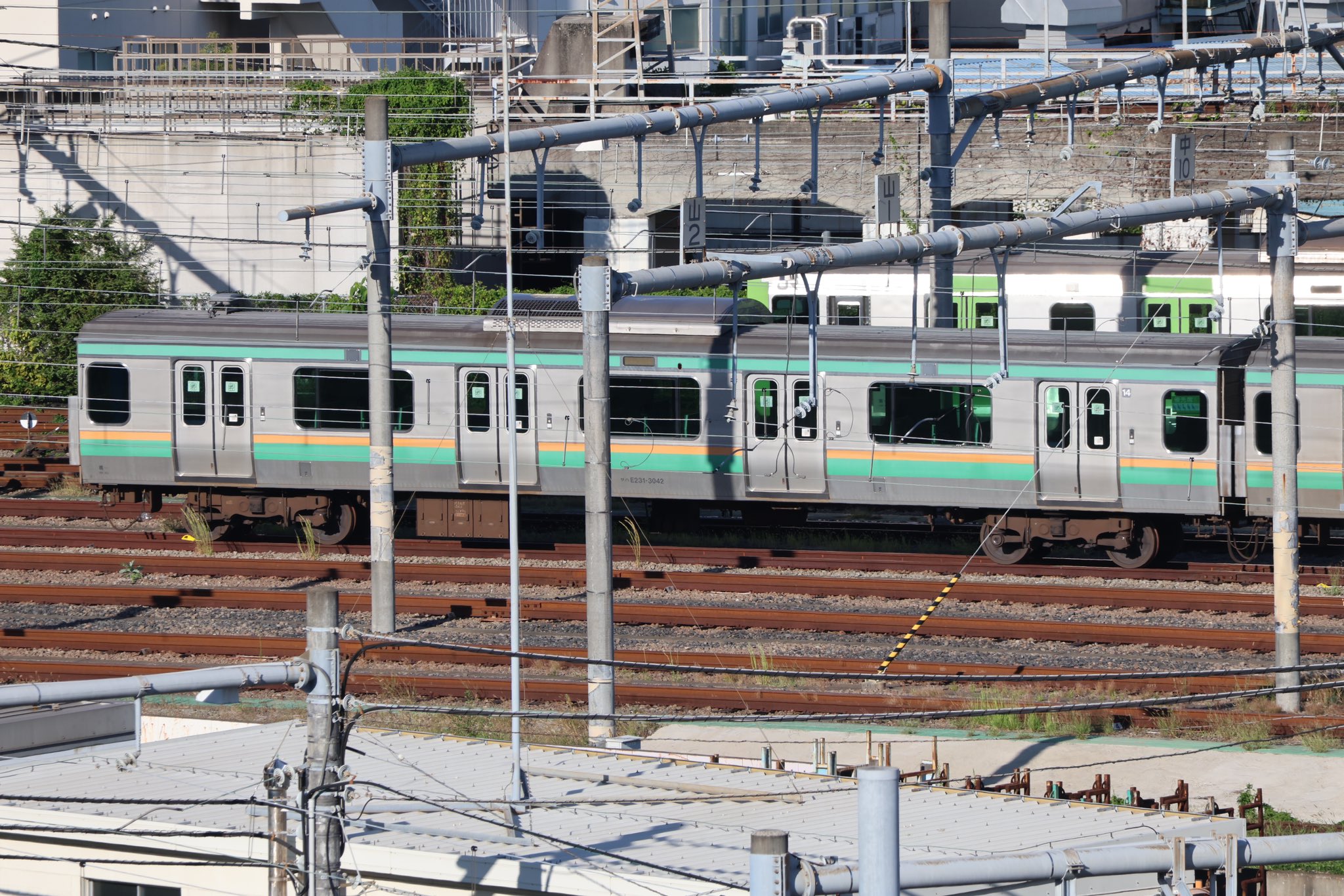 列車 編成番号札 掛け 平穴タイプ