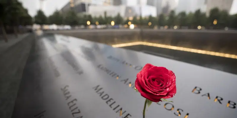 23rd Anniversary of 9/11 Terror Attacks

vocm.com/2024/09/11/23r…