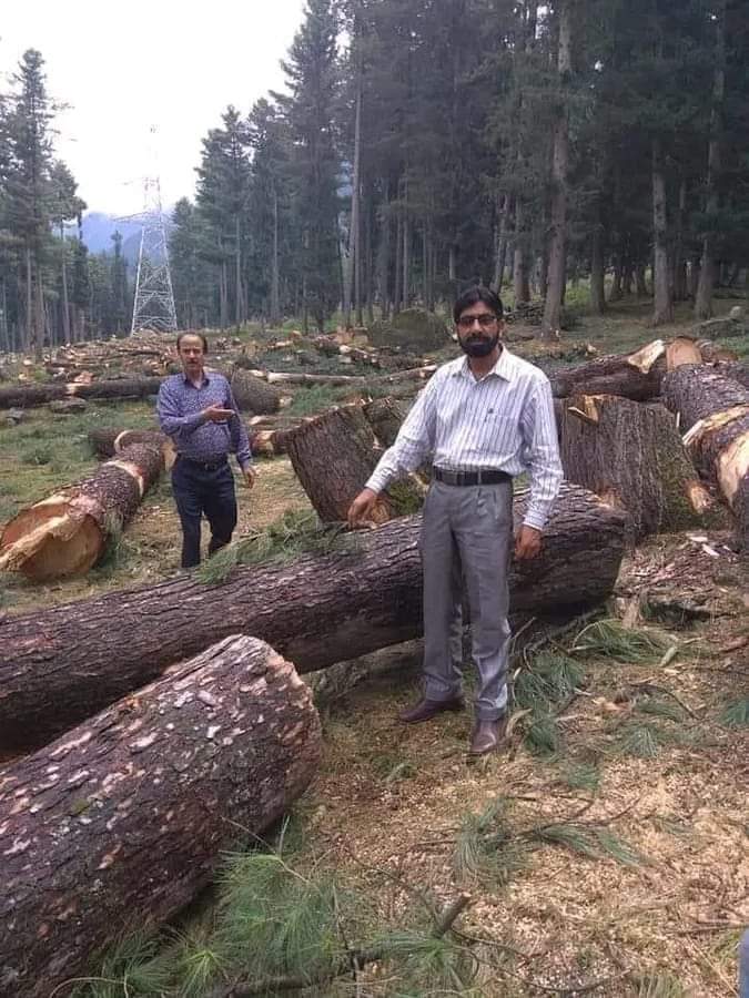 وادی نیلم جنگلات کی وجہ سے سیاح یہاں کا رخ کرتے ہیں ان حسین اور گھنے جنگلات کو چٹیل پہاڑ بنایا جا رہا ہےخوبصورت ترین تاؤ بٹ اور تاؤ بٹ بالا میں جنگلات کو بے دردی سے ختم کیا جارہا ہے