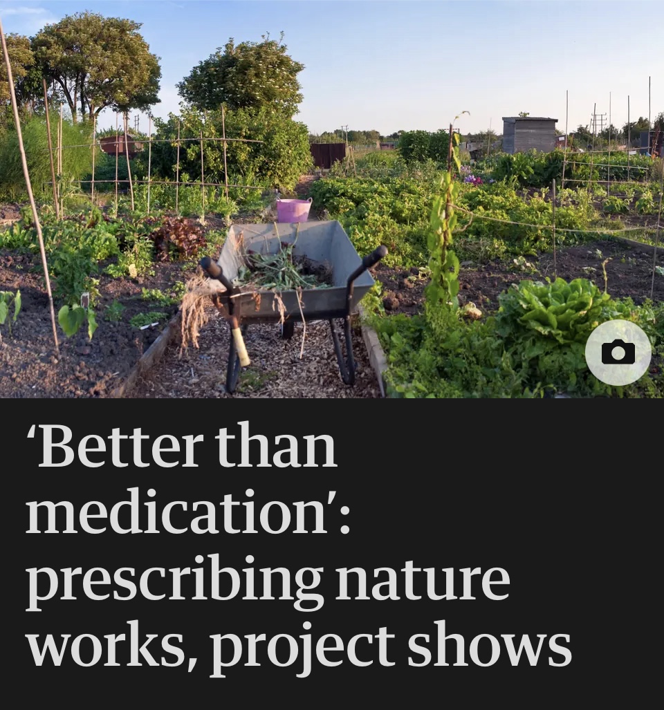 ForestsWF's tweet image. Connecting with Nature: A Path to Better Mental Health.
At Forests Without Frontiers, we believe in nature’s power for wellbeing.  Learn how the outdoors boosts happiness and purpose in this recent feature from
@guardian tinyurl.com/3jn75n2z
#NatureForWellbeing #OutdoorHealing