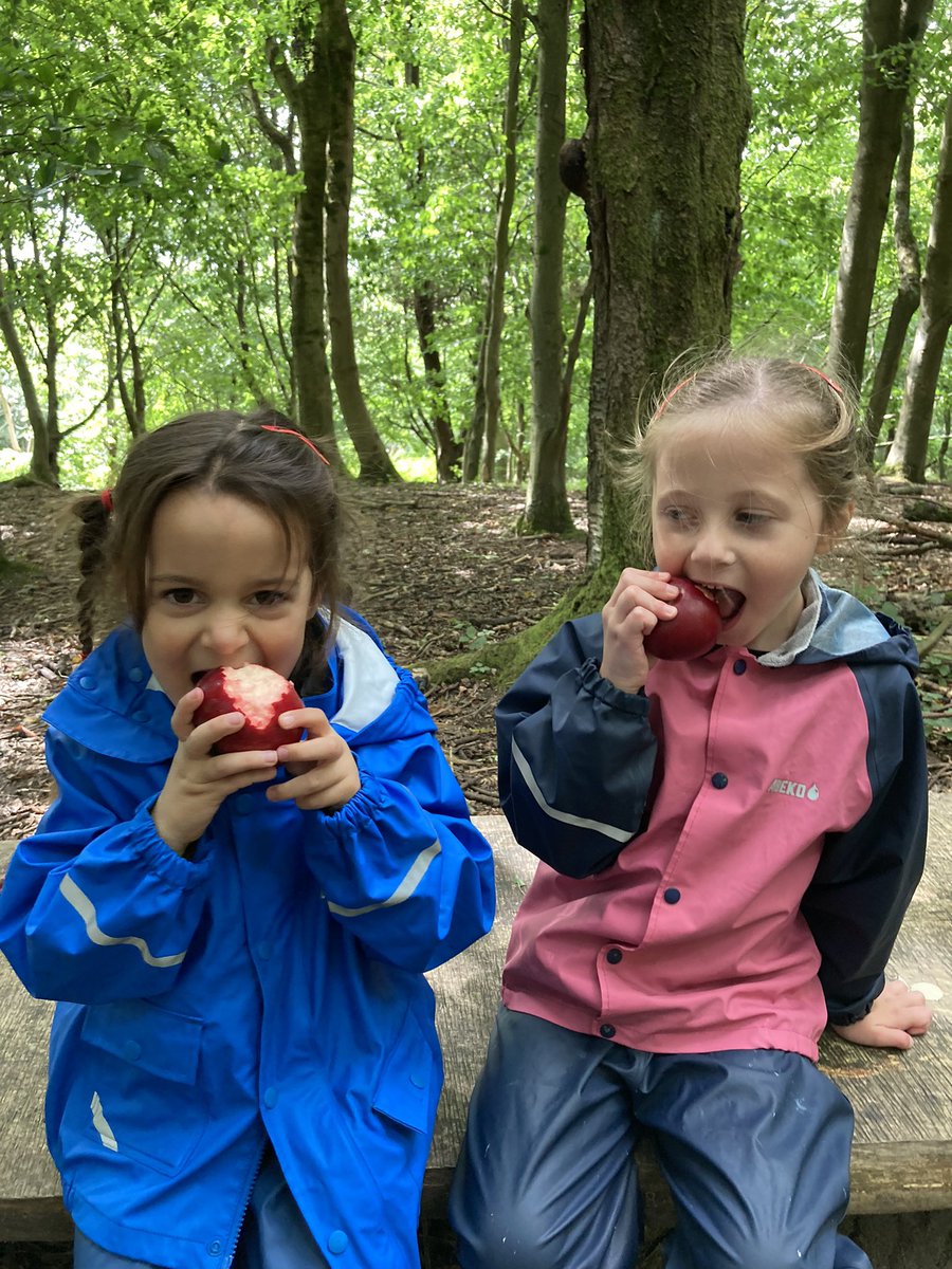 PipersForestSch's tweet photo. On the way to Forest School, Year 1 picked their own snacks - delicious! 🌳🍎😋 #sustainability #forestfood #piperspreprep https://t.co/08ELzMonF7