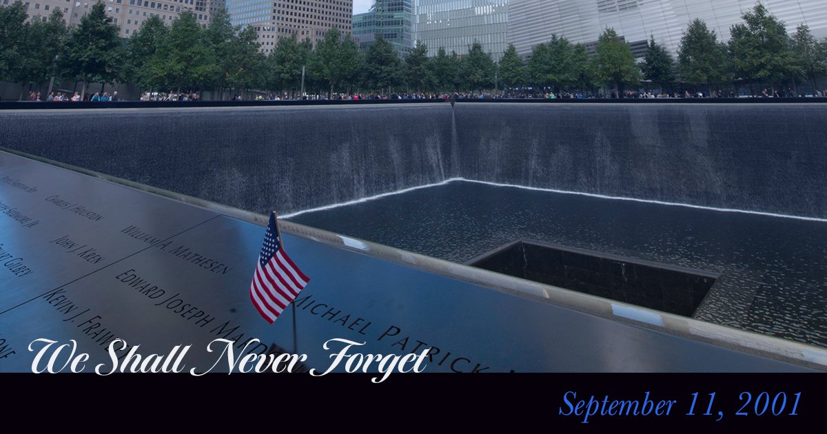 Senator Rob Rolison tweet media