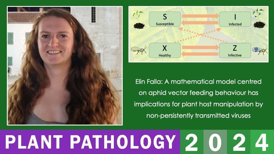 BS_PP's tweet image. The PH Gregory talks will start with @BergumMolly, @ElinFalla, and Berlaine Quime!