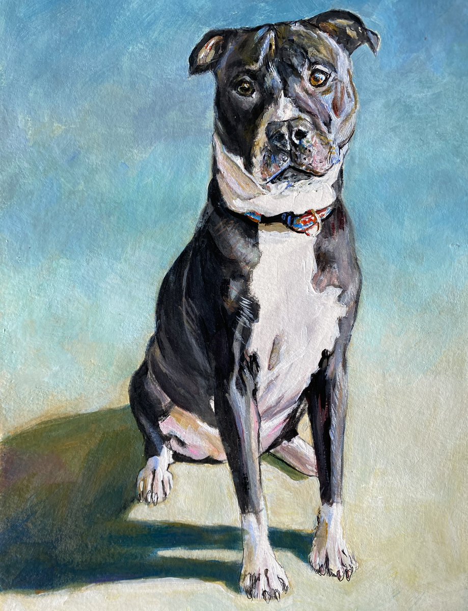 ToyPortraits's tweet photo. Dog portrait 8x10 acrylic on paper https://t.co/5J58l8kFz9