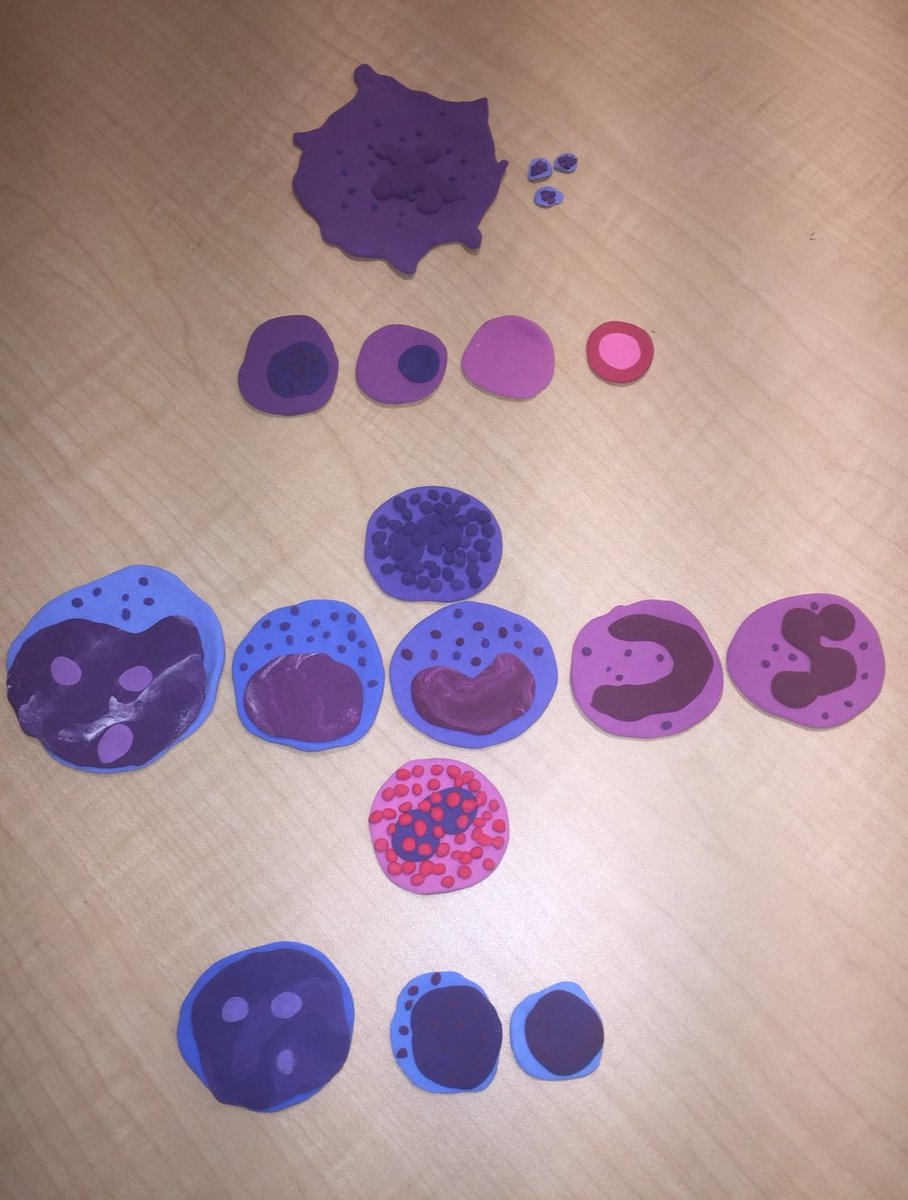 Thrilled to be back at #ASHMEI as faculty this year! Love seeing all the participants so engaged in our sessions- but also can’t wait for the crafts! Throwback to my clay hematopoiesis from 2019!  <a href="/ASH_hematology/">ASH</a>