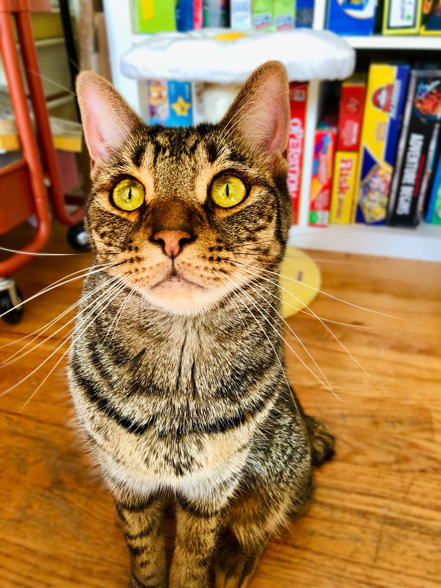 Sally Burn, PhD tweet media