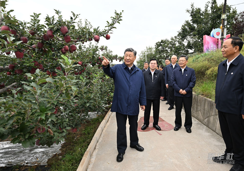 PDChinese's tweet photo. 【習近平在陝西寶雞市和甘肅天水市考察調研】10日下午至11日上午，習近平總書記先後來到陝西省寶雞市和甘肅省天水市考察調研。在寶雞市，習近平考察了寶雞青銅器博物院、渭河生態公園，了解當地加強文物保存利用和進行渭河生態保護治理等情況。在天水市，習近平考察了伏羲廟、麥積區南山花牛蘋果基地、麥積山石窟，了解當地推動文化遺產保護傳承、發展特色現代山地果業等情況。