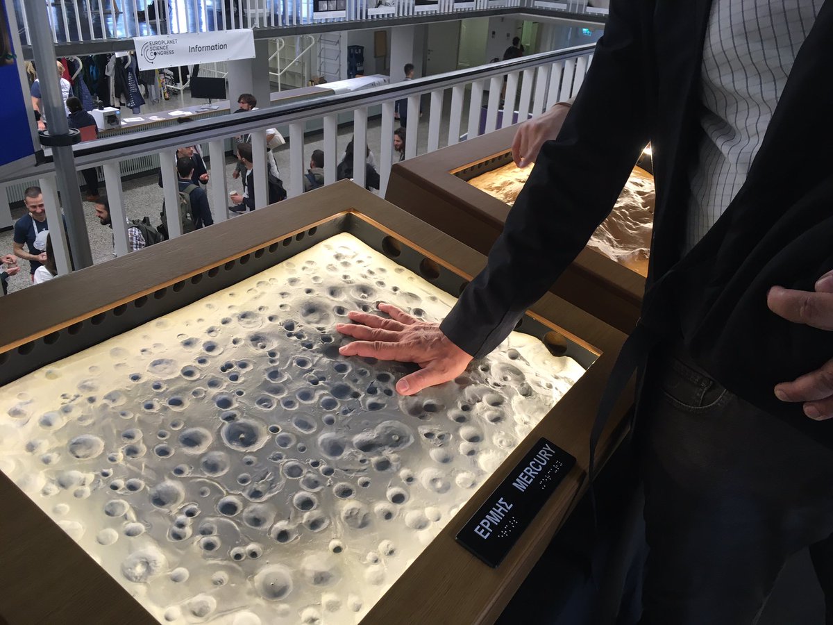 Giulia Magnarini tweet media