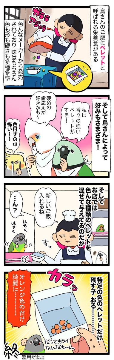 鳥さんのご飯、色とりどりだけどピンポイントな残され方とかする🍚味一緒なのに
1917 #えるポピの絵日記かくところ