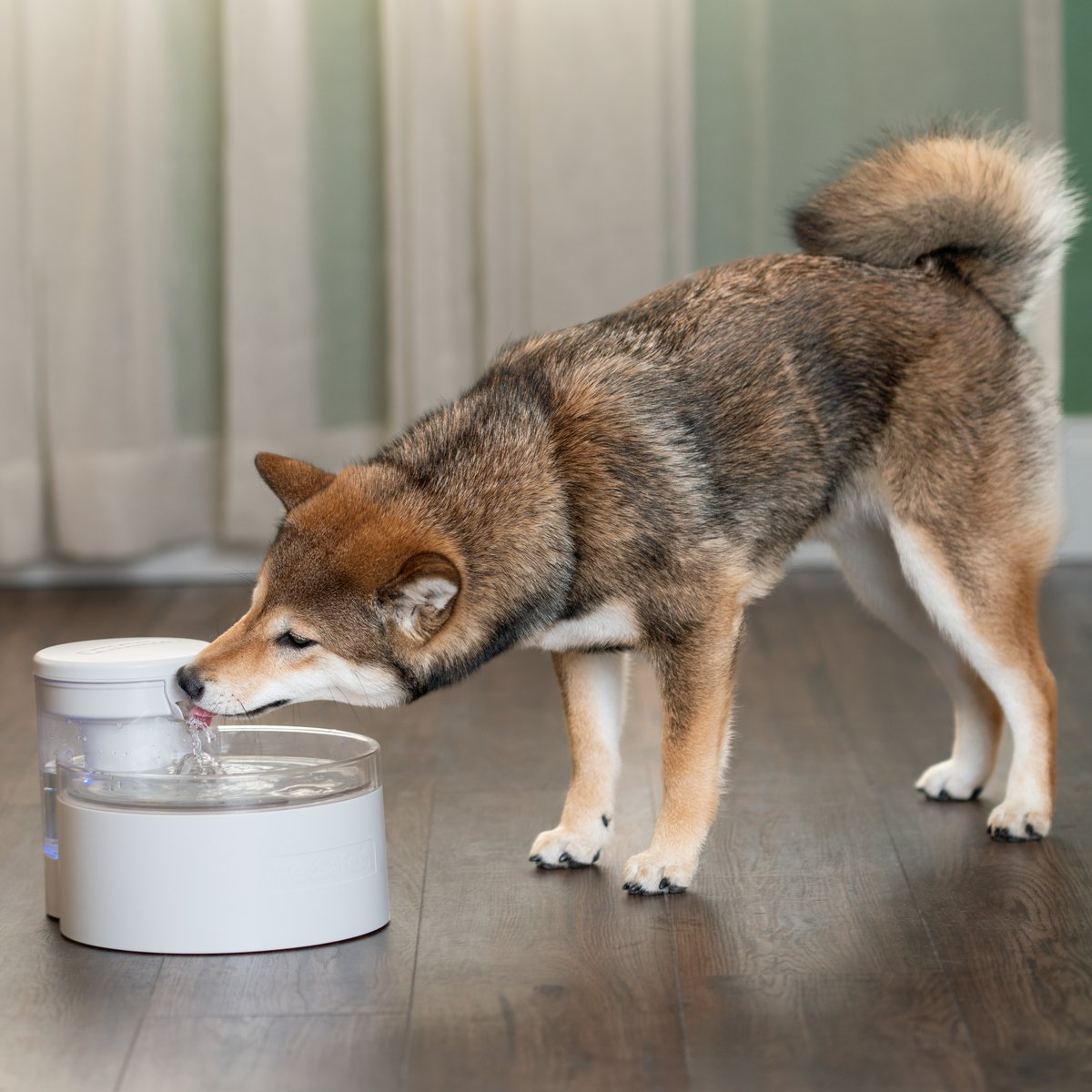 Giveaway 🐾
We are giving you a chance to win the worlds first pumpless fountain!
Like, Comment and Retweet for your chance to win!