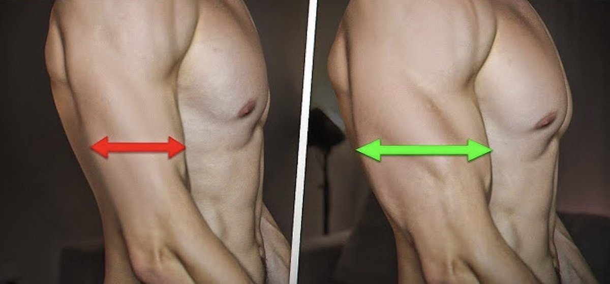 The_Truepath's tweet photo. 5 workouts for huge triceps💪🏻

-Thread- https://t.co/vKC8NLca72