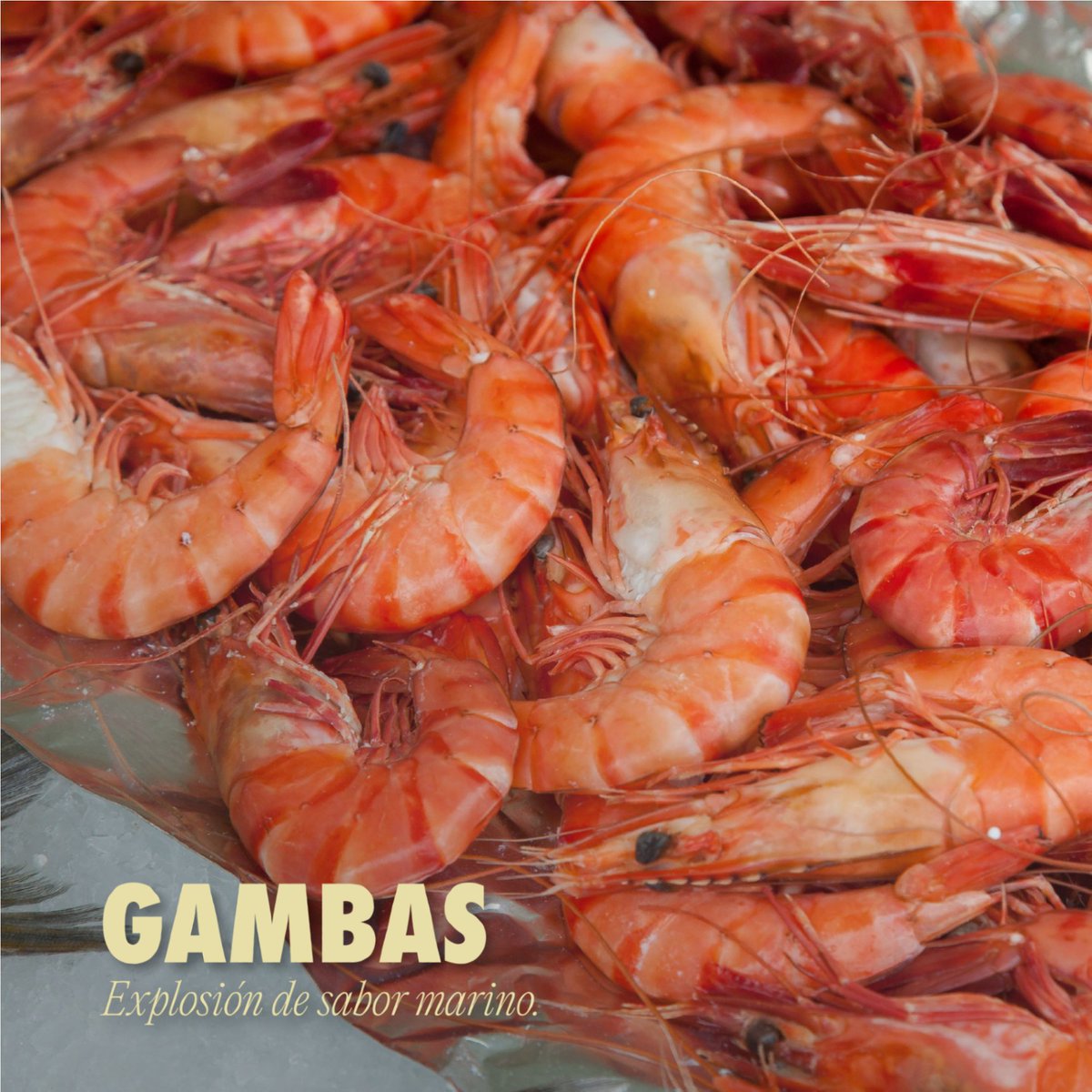 wikipaella's tweet photo. Delicioso crustáceo presente en toda Paella Marinera que se precie. Un manjar en el caso de la Gamba Roja, donde el concentrado de yodo y sal combina a la perfección con los jugos que encierra su cabeza. https://t.co/MrokMVJAyp