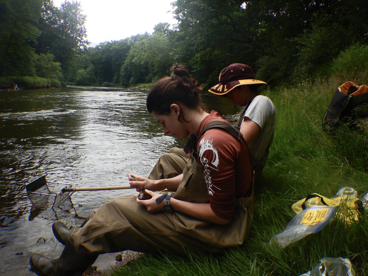 Woolnough Mussel Lab tweet media