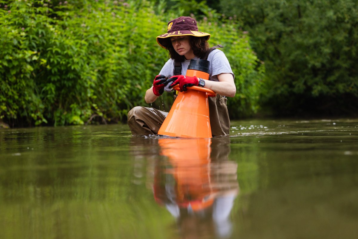 Woolnough Mussel Lab (@mussellab_dw) on Twitter photo Meet <a href="/MusselLab_DW/">Woolnough Mussel Lab</a> Researcher- Madison Dunlap (Martinez, California) @Cmich_Biology MS in Conservation biology MS.
“This project has allowed me to experience the world of Freshwater Science! My favorite activity has been getting to identify macroinvertebrates”. #rivers #mollusks Meet <a href="/MusselLab_DW/">Woolnough Mussel Lab</a> Researcher- Madison Dunlap (Martinez, California) @Cmich_Biology MS in Conservation biology MS.
“This project has allowed me to experience the world of Freshwater Science! My favorite activity has been getting to identify macroinvertebrates”. #rivers #mollusks