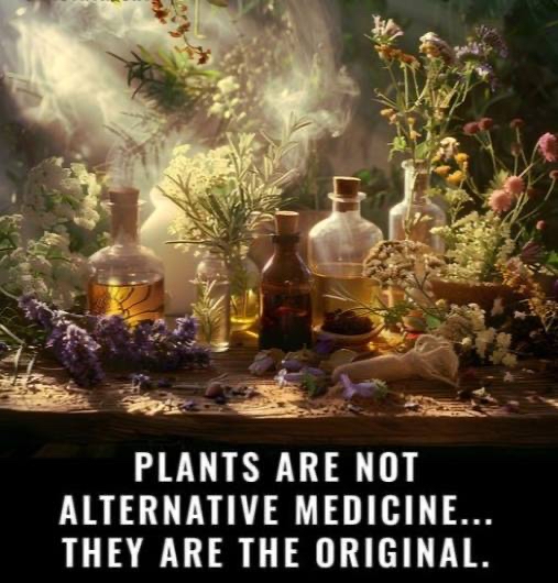 vegastarr's tweet photo. 🌿✨ https://t.co/4OlXYWtgRi