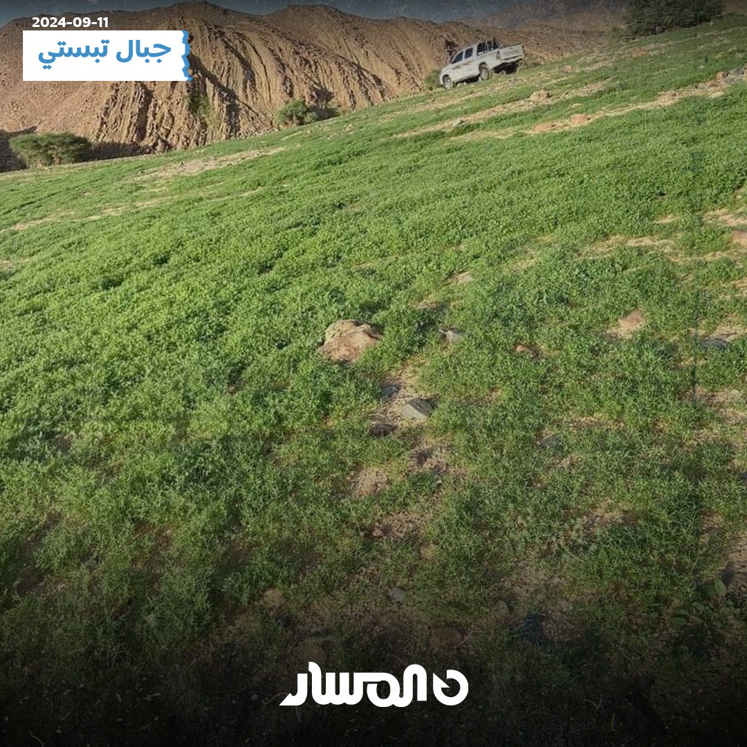 سبحان الله . جبال تيبستي الواقعة في صحراء الجنوب الليبي تكتسي باللون الاخضر