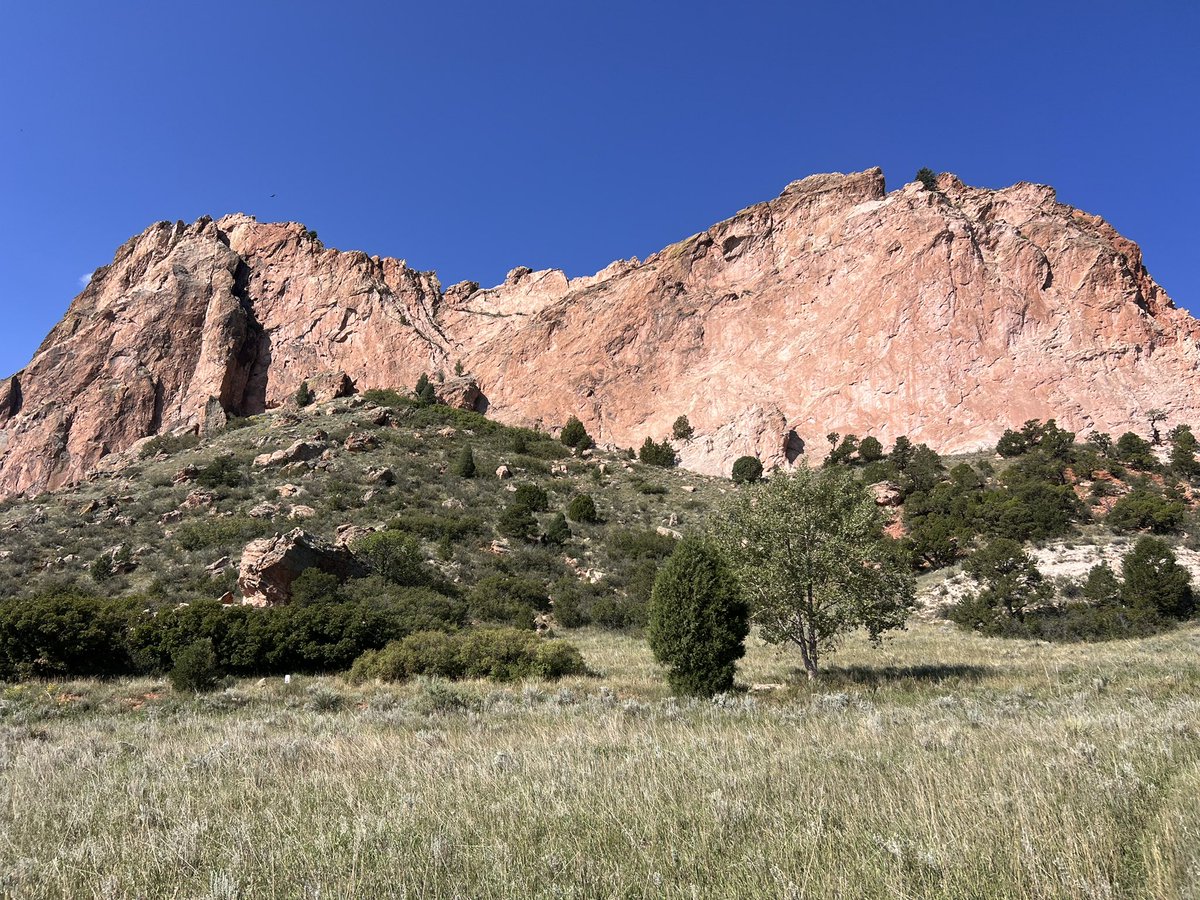 Mr.Wickwire🚀 tweet media