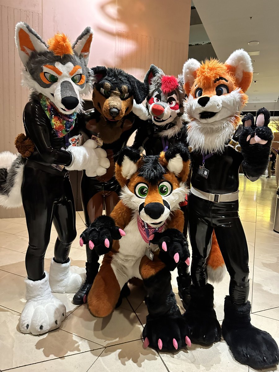 !!Exciting news!! This year at <a href="/MIRubber/">MIRubber</a> we will be hosting a rubber furs get together and social at 1pm on Sunday in the host hotel. Information is on the schedule. But if you are a fur into rubber or a rubberist curious about furry, come on out and hang out for a bit!