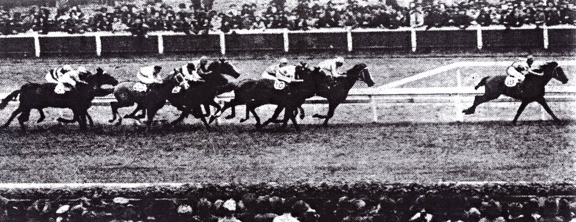 HORSERACING1002's tweet photo. COLONUS🇦🇺1938
(PORTOFINO - GENOA BY BARALONG)#Colonus
B/🇦🇺1938
O/ L. O. Merrick
T/ F. Manning
Melbourne Cup , Herbert Power H.
Stood Edenvale Farm🇺🇸Sired Aussie Girl, Balamo, Beyond The Sea, Caloha, Carina, Erin's Star, Honeybunny Boo, Jodywill, Philores, White Shadow. https://t.co/WQHmul9wAq