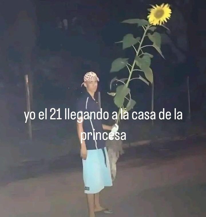 Ulises (@ulisesdavid__) on Twitter photo 