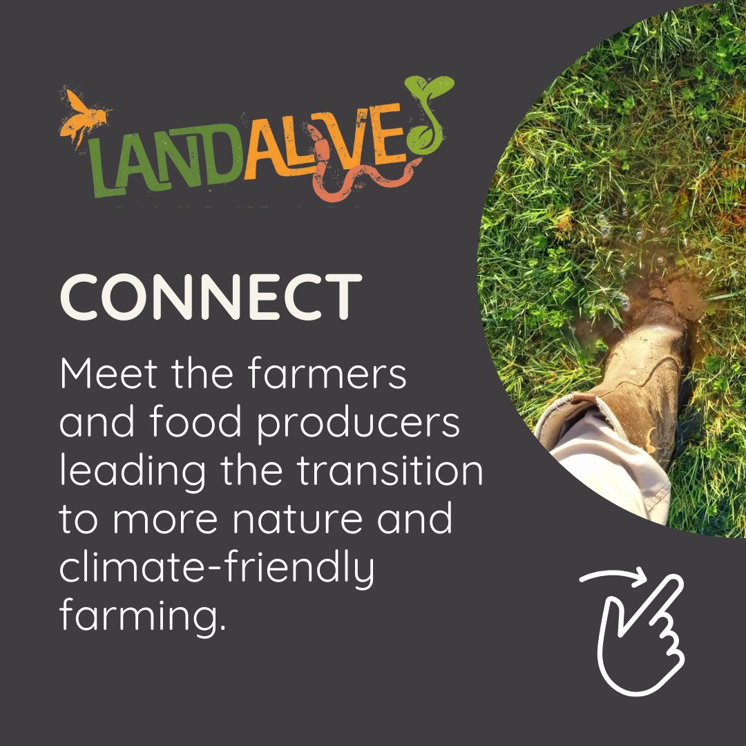 LandAliveSW's tweet image. Why should you attend LandAlive 2024?  
CONNECT  
DISCOVER  
INSPIRE &amp;amp; BE INSPIRED  
FUTURE PROOF   

Don't miss out, buy your ticket now&amp;gt; landalive.co.uk 

 #RegenerativeFarming #Sustainability #soilhealth #agroecolog