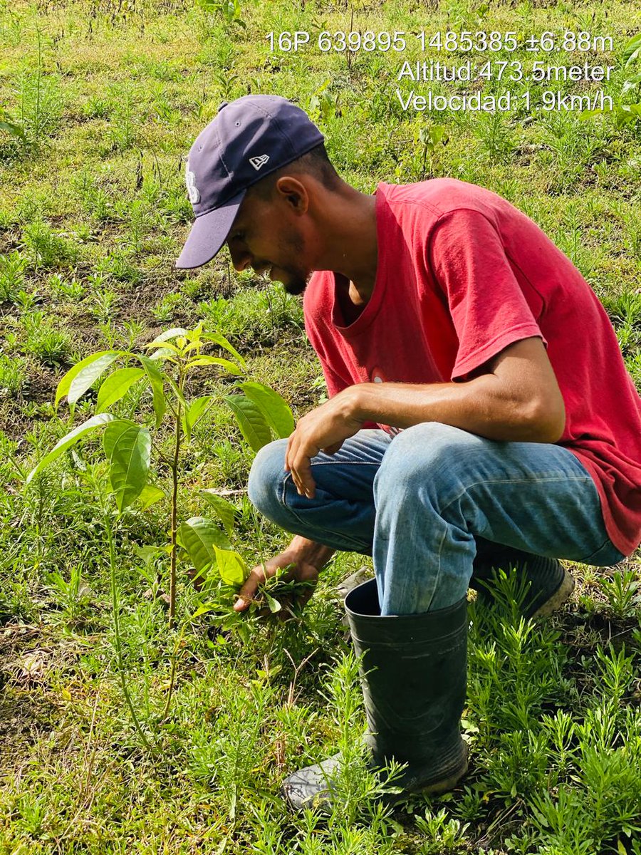 MarenaNicaragua's tweet photo. Realizamos visitas de seguimiento a protagonistas de iniciativa comunitaria, en el corredor biológico Macizo de Peñas Blancas y Cerro Kilambe, comunidad La Flor, municipio de El Cua, Jinotega.
#AmorAlaMadreTierra
#SeptiembreVictorioso
#GEF5
#MARENA https://t.co/wxxl2DUUok