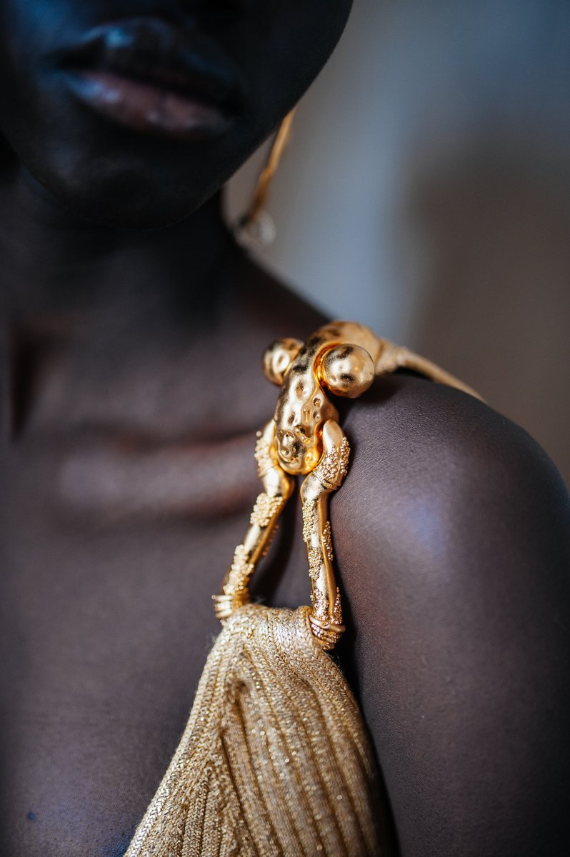 Schiaparelli tweet media