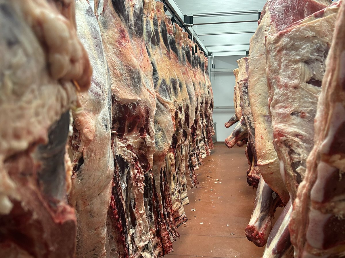 Fascinating trip to @KneppWilding today.

Including to the facilities they’ve developed to sell their meat - which looked amazing.