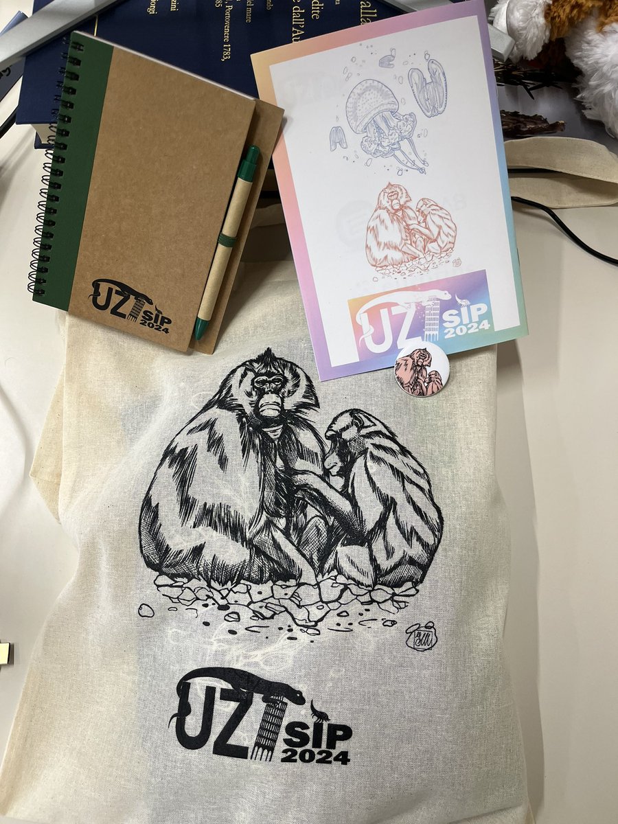 Geladas_for_Cooperation tweet media