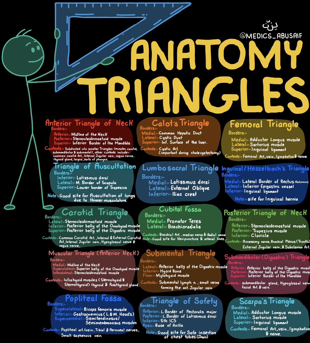 Know these anatomical triangles