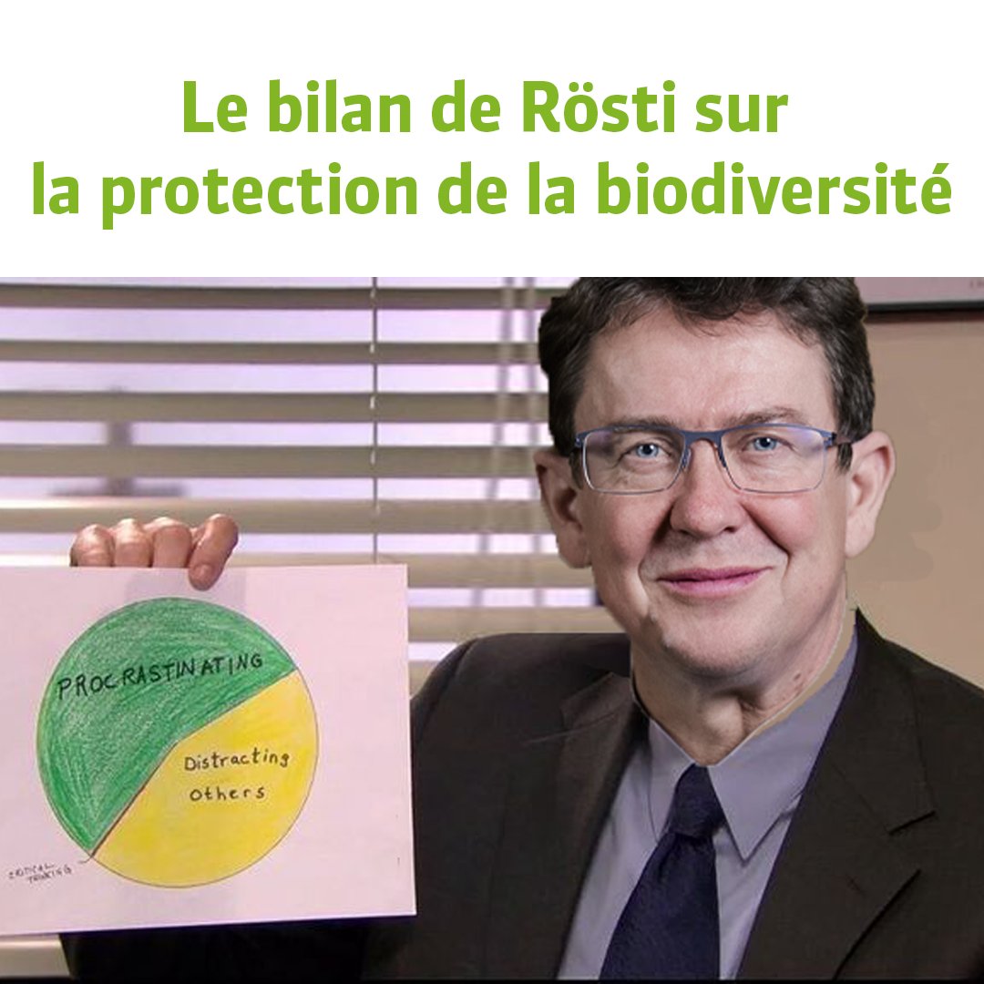 Alors, Oui à l'initiative pour la biodiversité le 22 septembre ! 🌿🐝

➡️ verts.ch/campagne/oui-a…