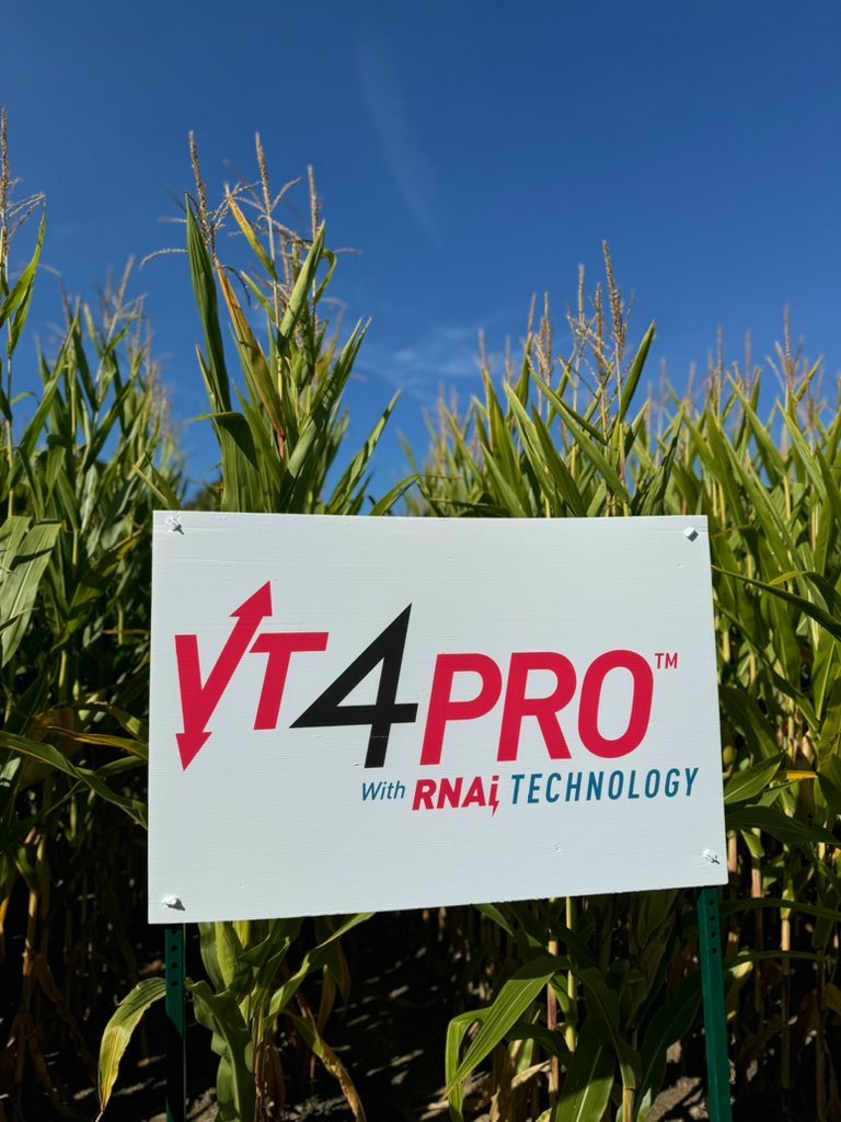 BayerTraitsCA's tweet photo. TODAY at 2:30 PM! 🌽🌽🌽

Join us at NM-131 @outdoorfarmshow this afternoon to discover the newest Bayer corn trait, #VT4PRO with RNAi Technology. 

No matter where you farm in #OntAg, you’ll want to hear about this one. 🐛🚫 #COFS24 https://t.co/YCAG5UWjm7