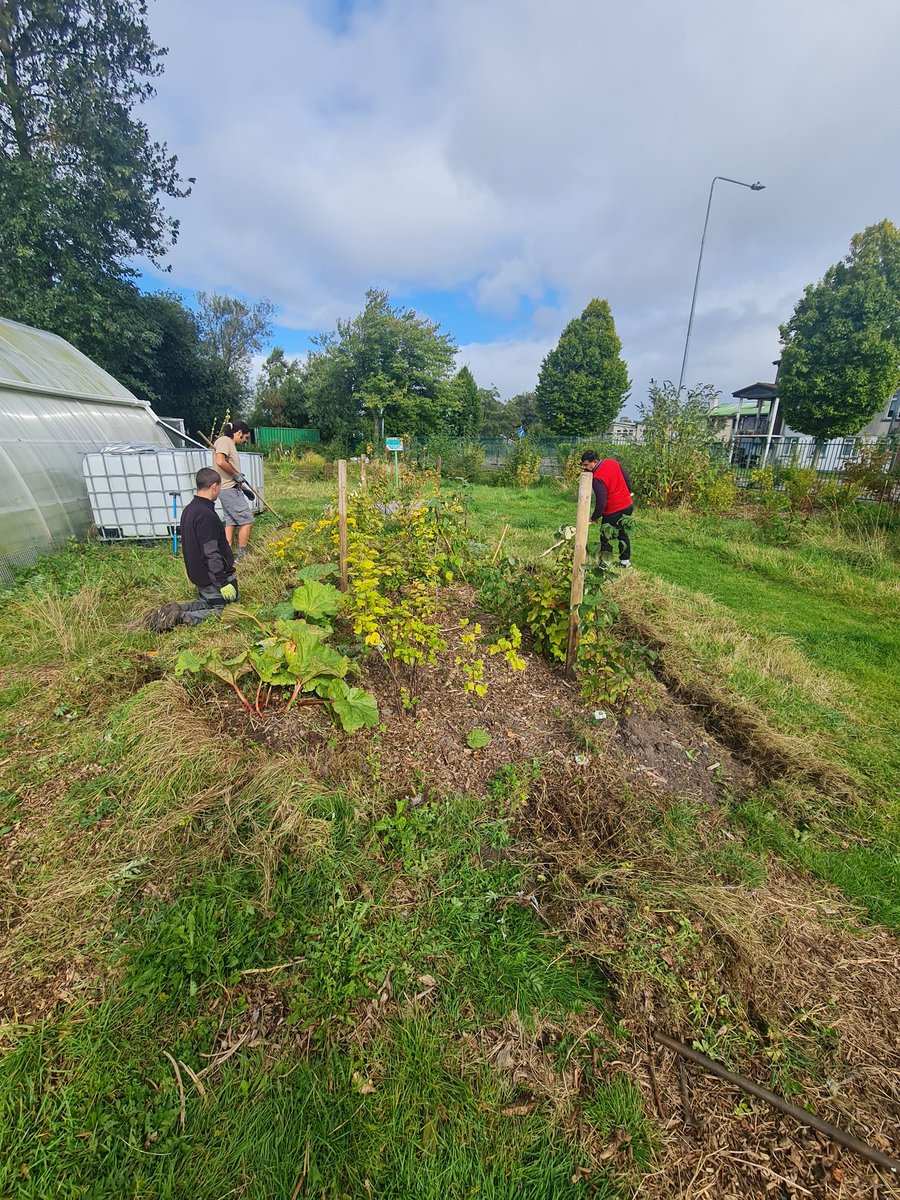 Togher Community Garden tweet media