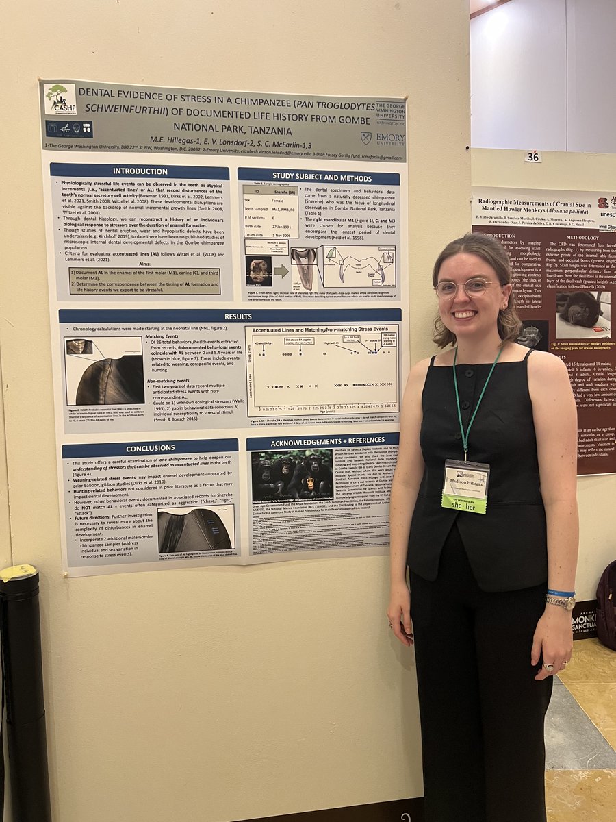 CASHP (@gwcashp) on Twitter photo Check out CASHP community members, <a href="/chimpologistrsn/">Rachel Nelson</a> and Maddy Hillegas representing us at the <a href="/ASPvoice/">AmSoc Primatologists</a> conference in Mexico! We know your podium and poster presentations were amazing!! 🐵🎉 Check out CASHP community members, <a href="/chimpologistrsn/">Rachel Nelson</a> and Maddy Hillegas representing us at the <a href="/ASPvoice/">AmSoc Primatologists</a> conference in Mexico! We know your podium and poster presentations were amazing!! 🐵🎉