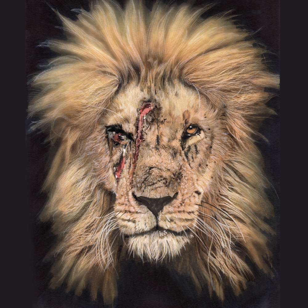 mark_raats's tweet photo. I was commissioned to do a partner piece for the Lioness I did a while back.
The collector requested that this male should be a war-weary fighter

#liondrawing #artlovers #wildlifeart #lionart #lion #kingofthebeasts #thisisafrica #tia #markraats #notdigitalart #artbyhumans https://t.co/FyKfOnnKjg