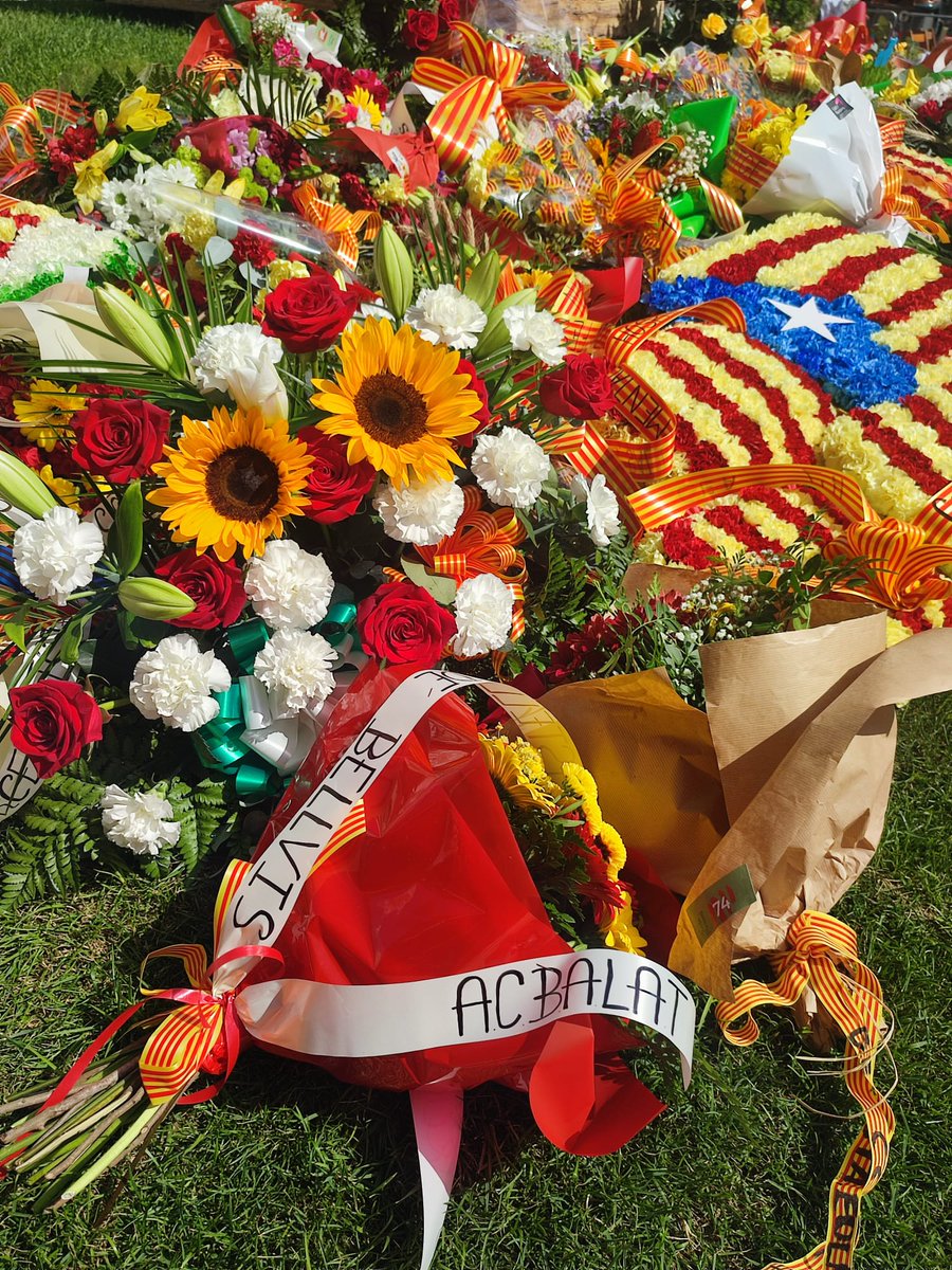 Associació Castell de Bellvís a la Torrassa tweet media