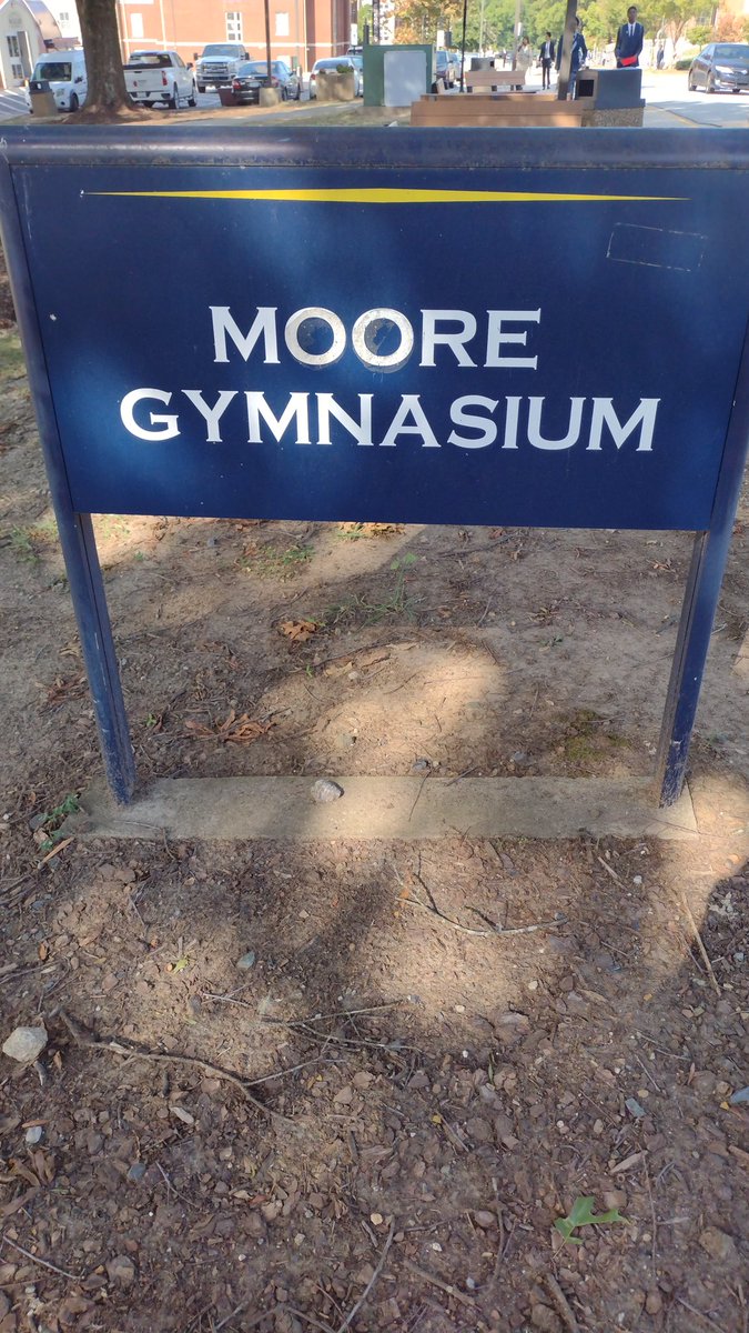 🐢✨America Is Musty✨🐢 tweet media