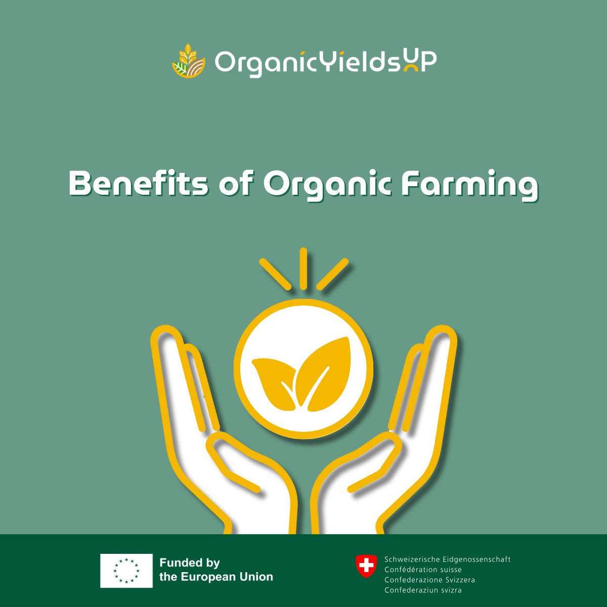 OrganicYieldsUP tweet media