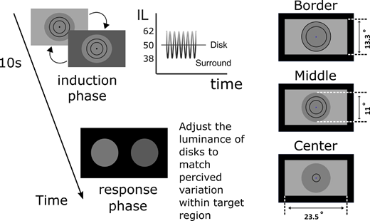 ARVOJOV's tweet photo. Amna Malik @AmnaMal20207663 &amp; Huseyin Boyaci use fMRI to investigate neural correlates of dynamic lightness Induction and provide further evidence that the primary visual cortex (V1) is involved in context-dependent lightness processing: https://t.co/VsCLHHbwKl. https://t.co/ayPDk4hMgC